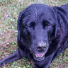 hudson smiling