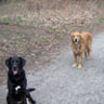 Happy Friends In Fall
