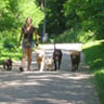 Our walk out