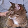 Nathan and Apollo
