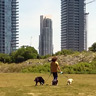 walking by the lake